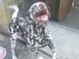 Zoe
