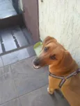 Nina