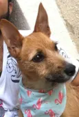 Mel