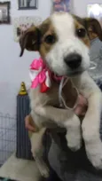 Nina