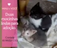 Casal para adoção