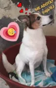 Mel