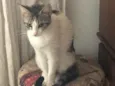 Emily