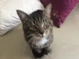 Óliver