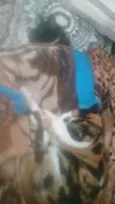 Princesa