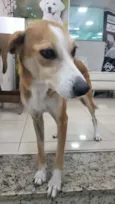 Vicky