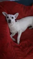 Branquinha linda