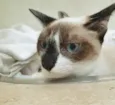 MINHONZINHA