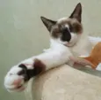 MINHONZINHA