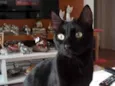 Belíssimo bebê