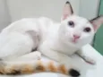 LUZIA MIX