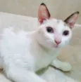LUZIA MIX