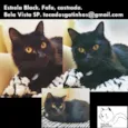ESTRELA BLACK