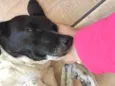 Kiara