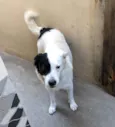 Bob
