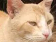 Frederico