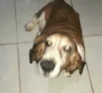 Lua2