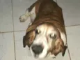 Lua2