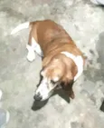 Lua2