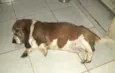 Lua2