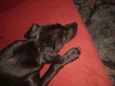 Teka