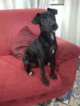 Teka