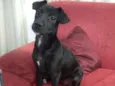Teka