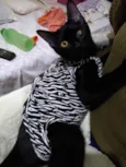 Patricia