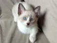 Vitória