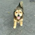 Nick