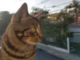 Bóris