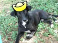 Nuno