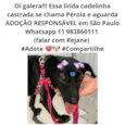 Pérola
