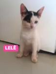Lelê