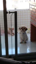 Lucky