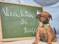 Nenê 