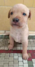 Chuck
