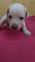 Jenny