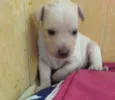 Jenny