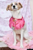 Fiona