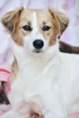 Fiona