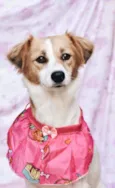Fiona