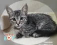 KIKO