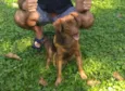Tito