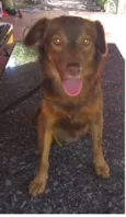 Tito