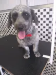 Bolt