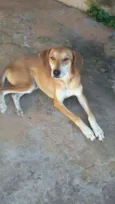 Lola