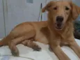 Brian