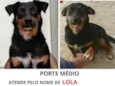 Lola