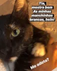 Zelia
